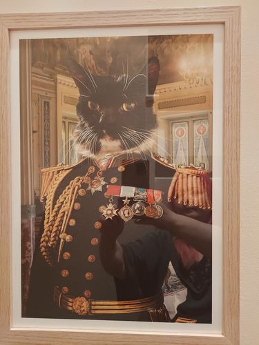 Customer photo review of The Earl - Custom Pet Portrait