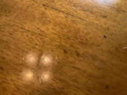 Customer photo review of Cowgirl Creamery Mt Tam