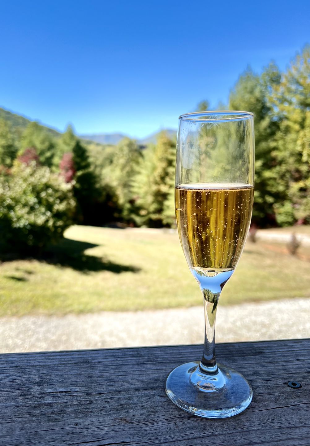 Customer photo review of Non-Alcoholic Sparkling Rosé