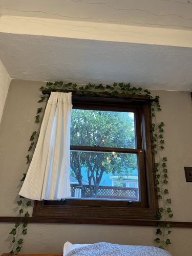 Customer photo review of Wall Vines