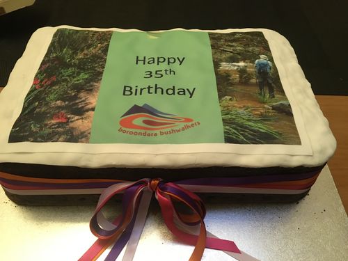 Customer photo review of A4 Rectangle Custom Edible Icing Image