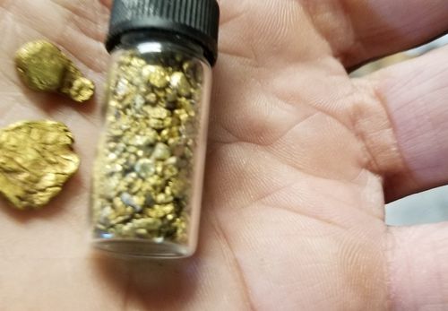 Customer photo review of Nugget Reserve 'MUSEUM SPECIMEN CHASE' - Gold Panning Paydirt Concentrate