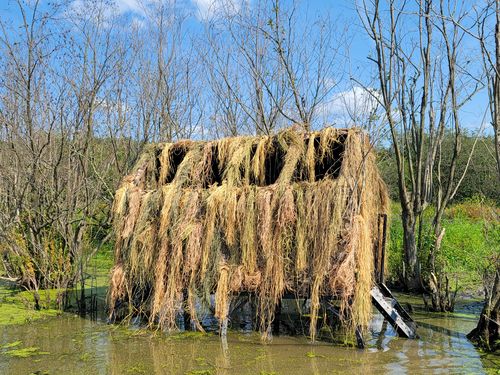 Customer photo review of Hunting Blind Raffia Grass (Pack)
