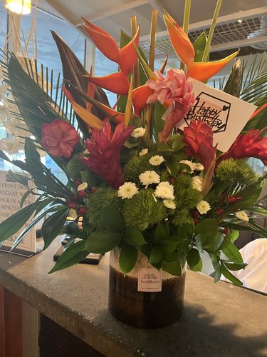 Customer photo review of Jungle