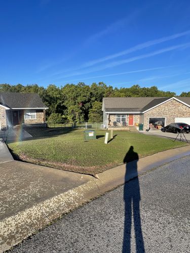 Customer photo review of GCI Turf Cool Blue Grass Seed