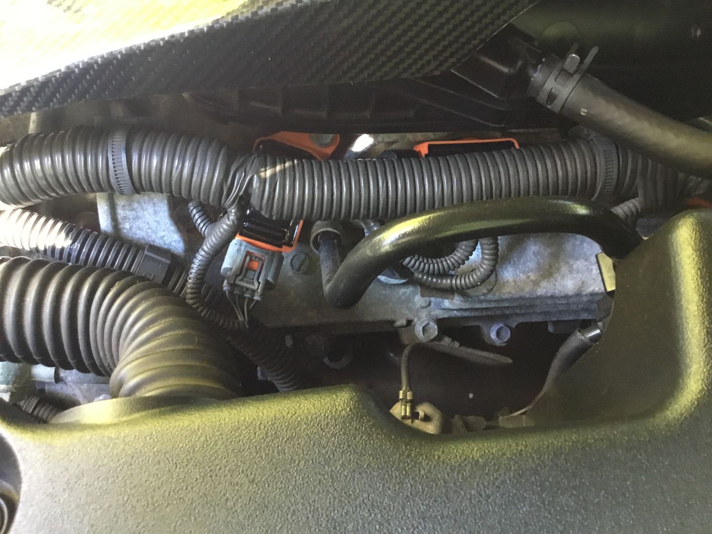 Customer photo review of Toyota / Lexus V6 High Performance Coil Packs