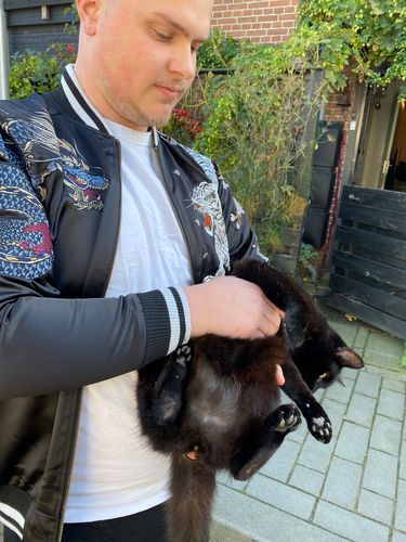 Customer photo review of Four Legendary Creatures Sukajan Souvenir Jacket
