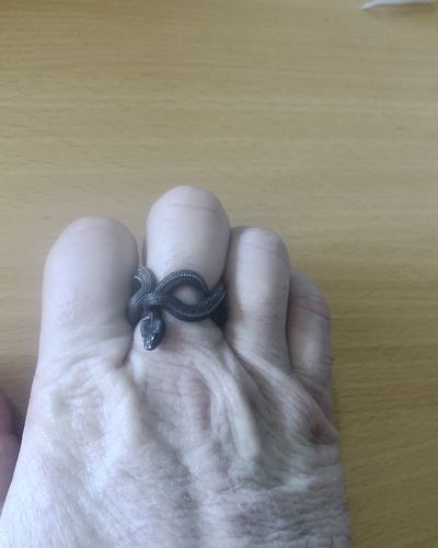 Customer photo review of Silver Snake Ring