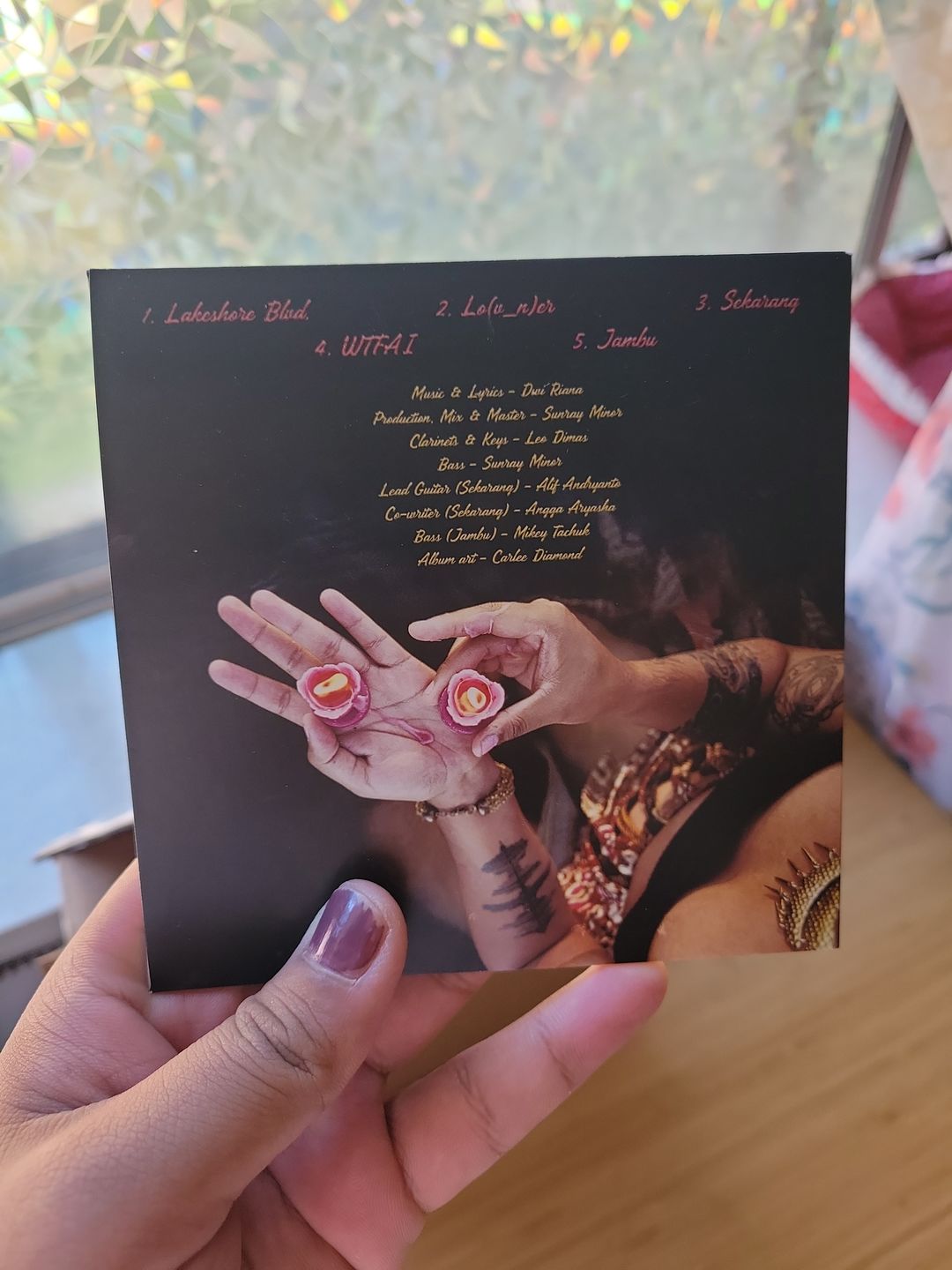 Customer photo review of CD Jackets | 2-Panel
