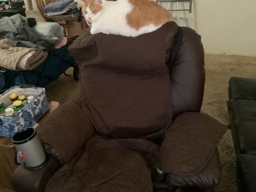 Customer photo review of Esright Electric Power Recliner Lift Chair Faux Leather Electric Recliner for Elderly, Heated Vibration Massage Sofa with Side Pockets, USB Charge Port & Remote Control, Dark Brown