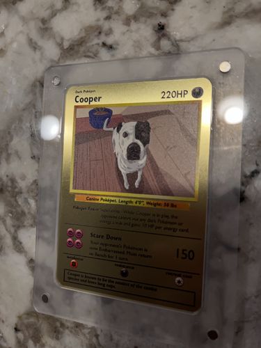 Customer photo review of Pokepet