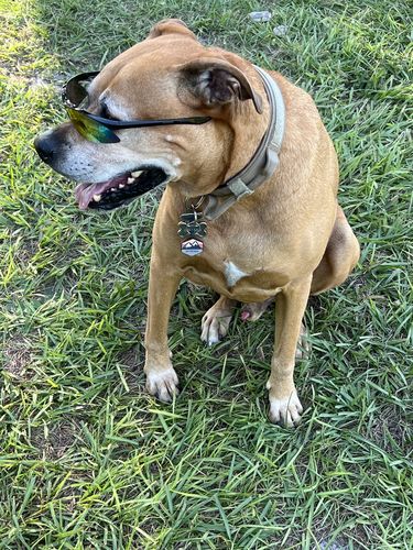 Customer photo review of Explorer Silicone