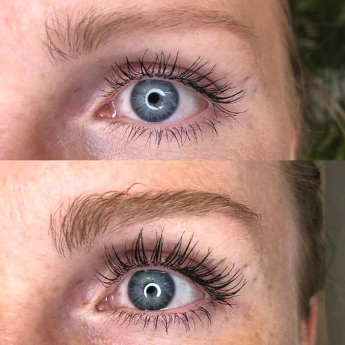 Customer photo review of SHOW BROW