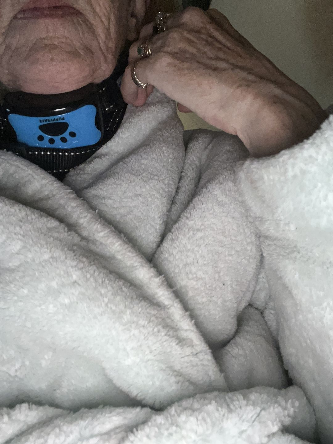 Customer photo review of Collier Anti Aboiement PuppySafe