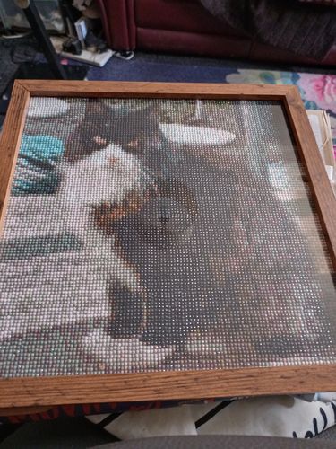 Customer photo review of Custom Diamond Painting Kit