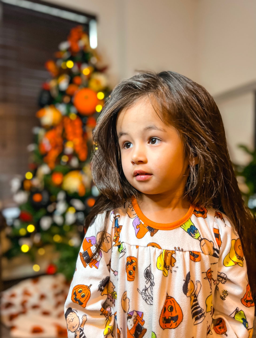 Customer photo review of Harvest Light Preset collection