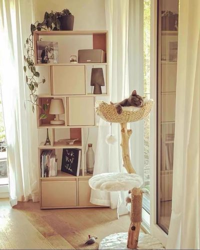 Customer photo review of Michu Selected Real Wood Cat Tree, Medium
