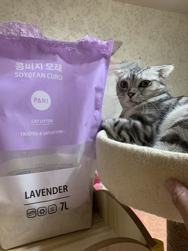 Customer photo review of PANI 99%無塵豆腐砂-原味 薰衣草 綠茶 7L 6入/箱