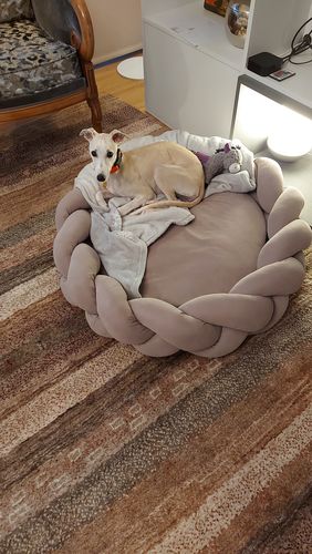Customer photo review of Dog bed Pony kolosony beige