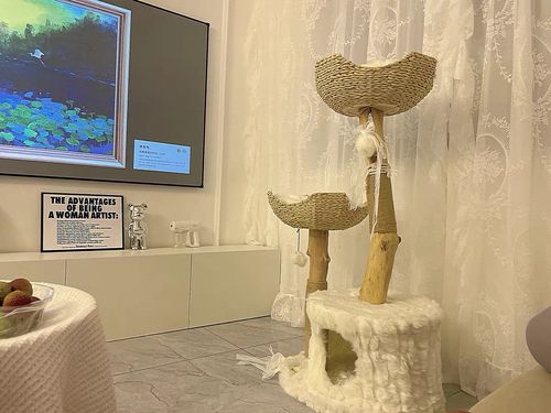 Customer photo review of Michu Selected Real Wood Cat Tree, Large