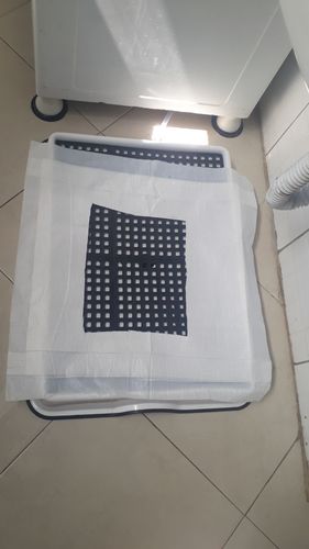 Customer photo review of Weasy Cão