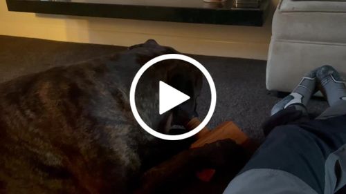 Customer video review of The Fenrir Hammer