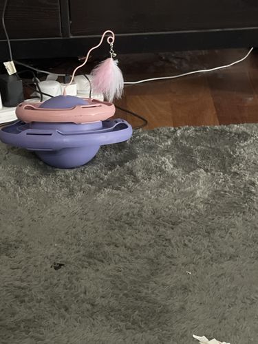Customer photo review of Supermarcat 2-in-1 Interactive Tumbler Rotating feather Kitten Toy