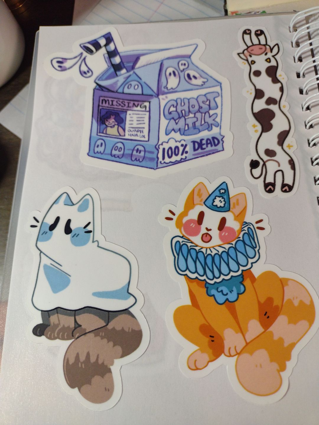 Customer photo review of Sticker Mystery Pack!  Pack of 5 or 10