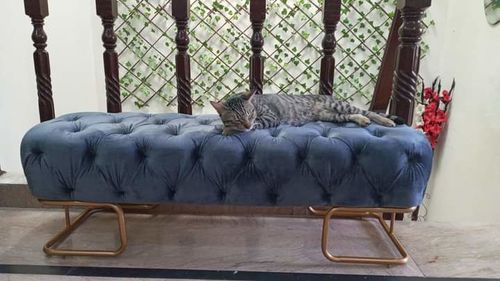 Customer photo review of 3 SEATER LUXURY OTTOMAN STOOL WITH STEEL STAND -957