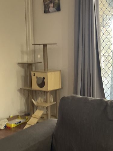 Customer photo review of SupermarCat 6-Level Wood Fun Cat Tower Scratcher Tree-yellow