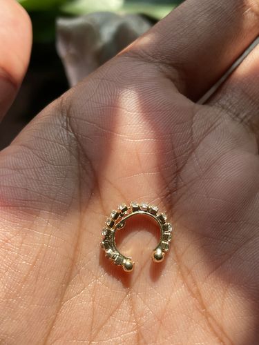 Customer photo review of Classic Stone Clip On Nose Ring