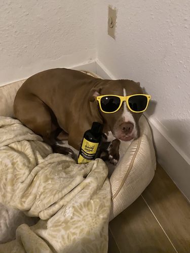 Customer photo review of Golden Gravy