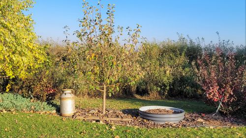 Customer photo review of 8" Tall Large Round