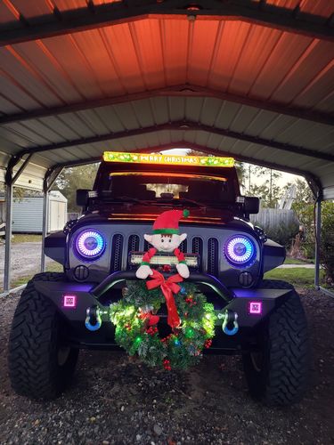 Customer photo review of Christmas Lights