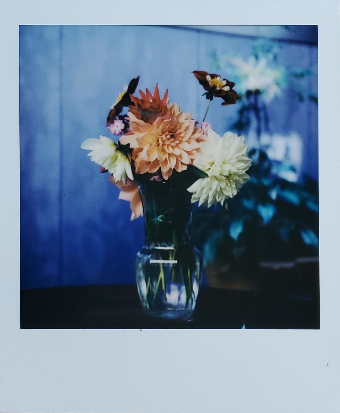 Customer photo review of Polaroid SX-70 Sonar Autofocus Black Folding Instant Film Camera