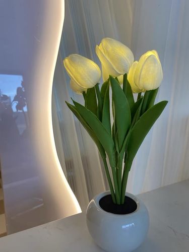 Customer photo review of Tulip LED Lamp