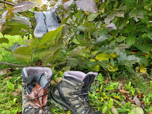 Customer photo review of J.B. Field's "Hiker GX" 74% Merino Wool Hiking Crew Sock
