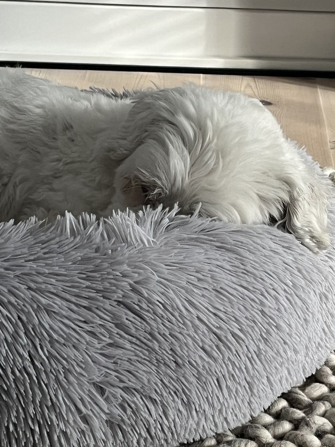 Customer photo review of THE ORIGINAL - Donut hundeseng (lys grå)