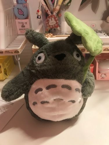 Customer photo review of Cute Neighbor Totoro Plushie Collection