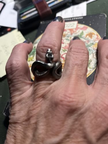 Customer photo review of Snake Ring
