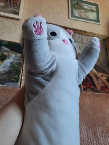 Customer photo review of Lazy Cat Long Pillow Collection
