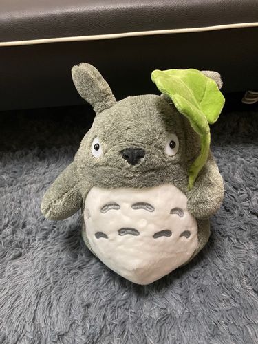 Customer photo review of Cute Neighbor Totoro Plushie Collection