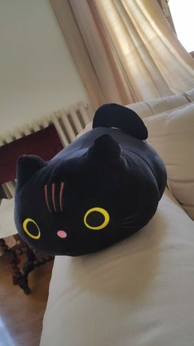 Customer photo review of Curious Cat Plushie Collection
