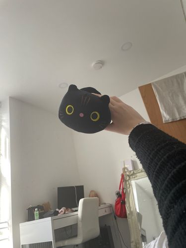Customer photo review of Curious Cat Plushie Collection