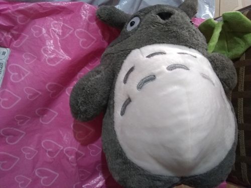 Customer photo review of Cute Neighbor Totoro Plushie Collection