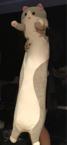 Customer photo review of Lazy Cat Long Pillow Collection