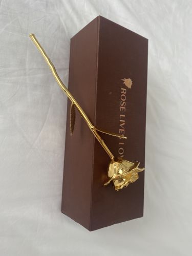 Customer photo review of Gold Rose