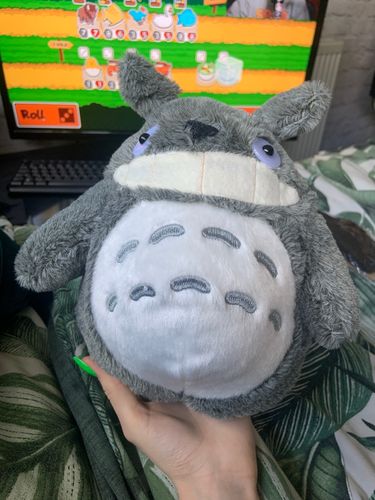 Customer photo review of Cute Neighbor Totoro Plushie Collection