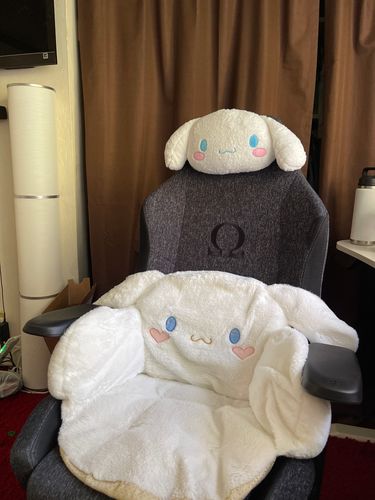 Customer photo review of Sanrio Family Cushion Collection