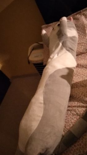 Customer photo review of Lazy Cat Long Pillow Collection